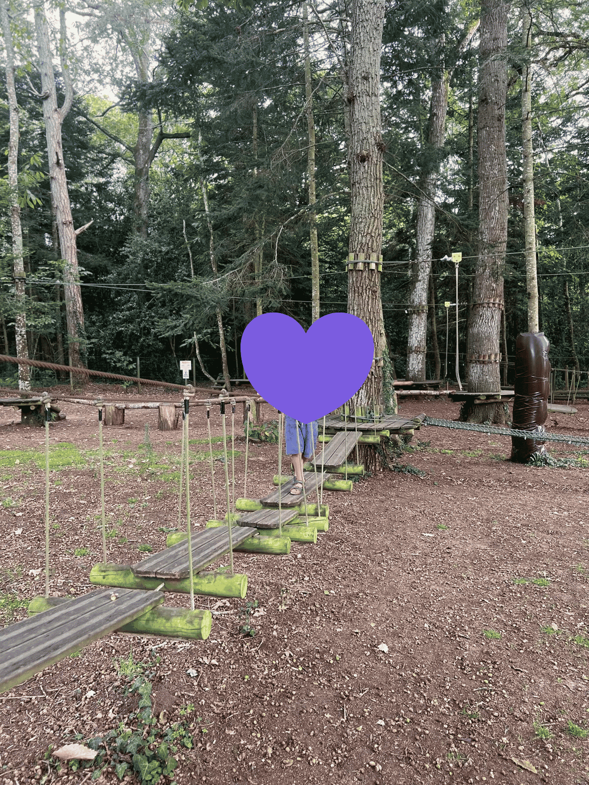 Enfant faisant de l'accrobranche à Parcofolies