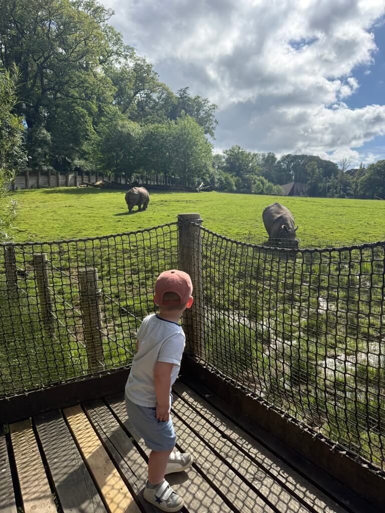 Branféré avec des enfants : notre visite du parc animalier
