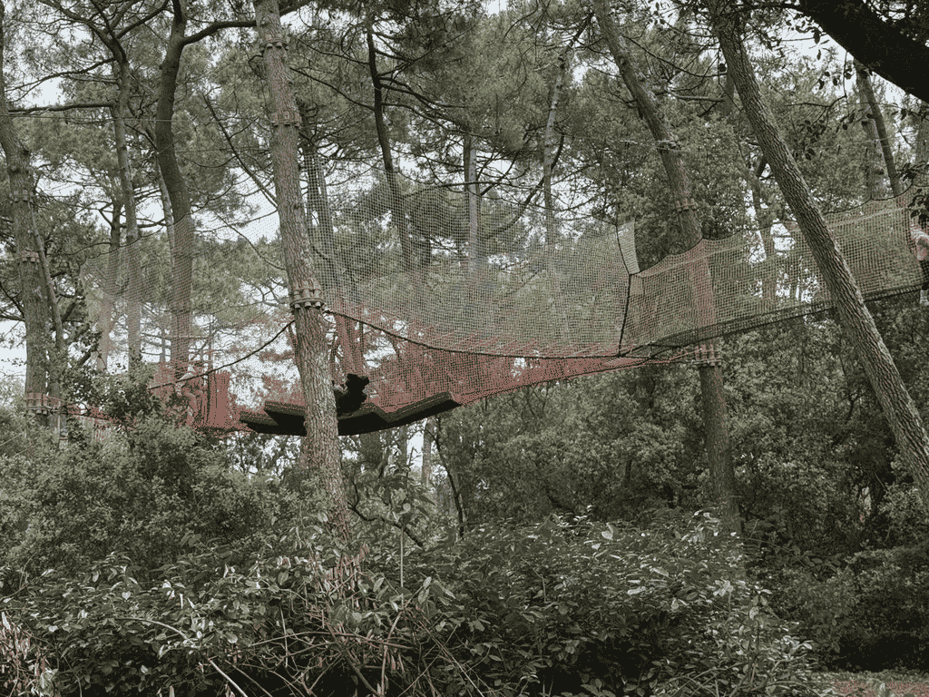 Parcours à Canopy Parc