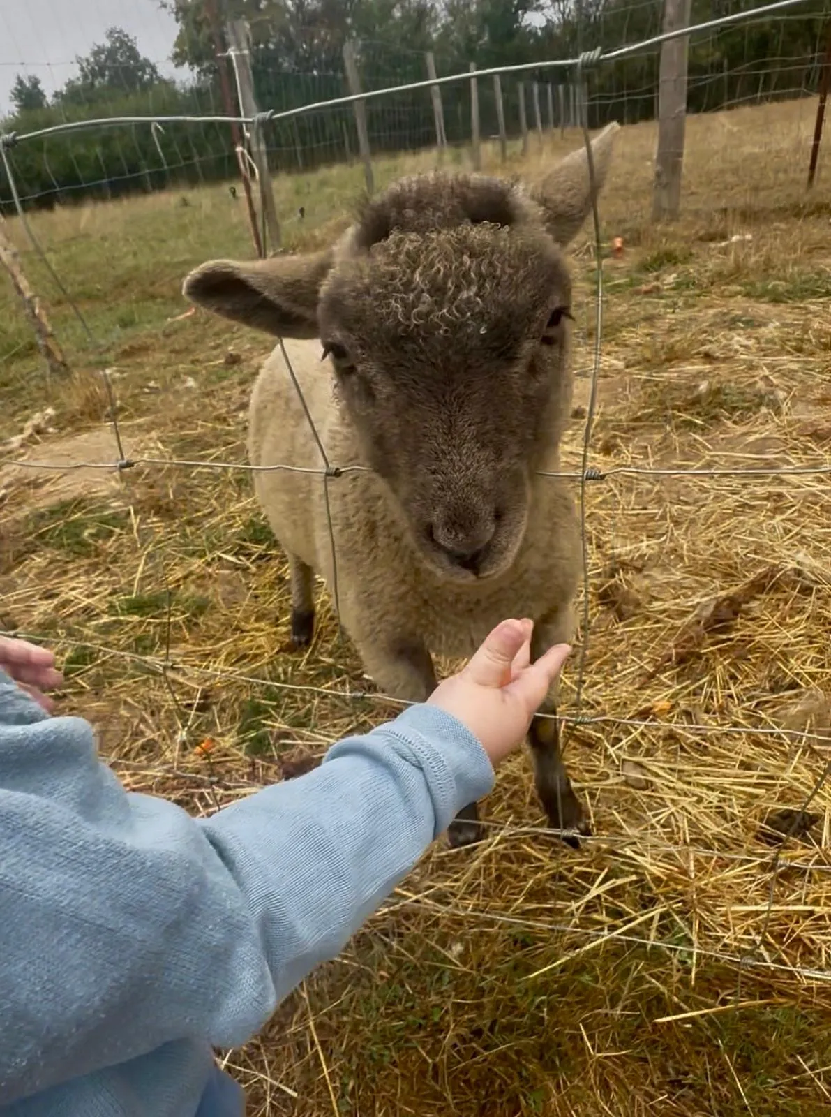 La petite ferme d'Heïdi : une sortie nature avec les enfants au Pays de Retz